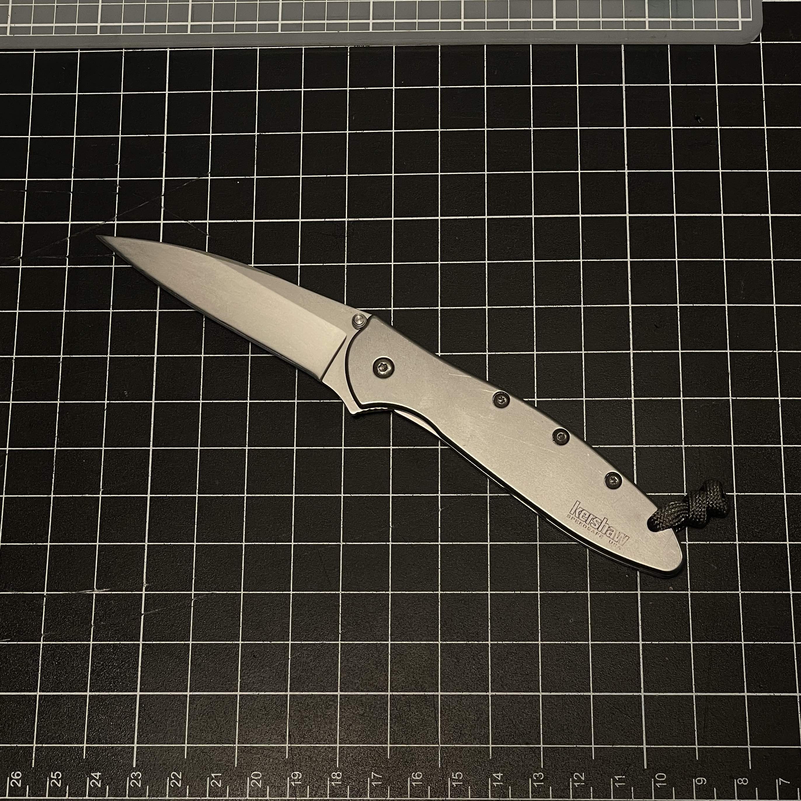 Folding knife (spring assisted)