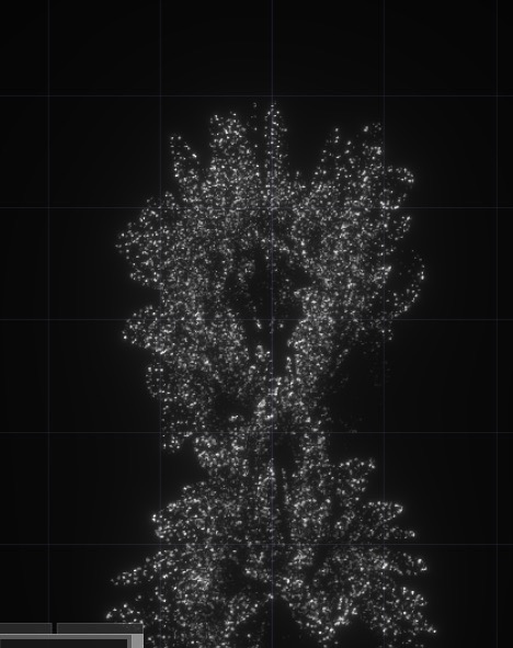 Form exploration