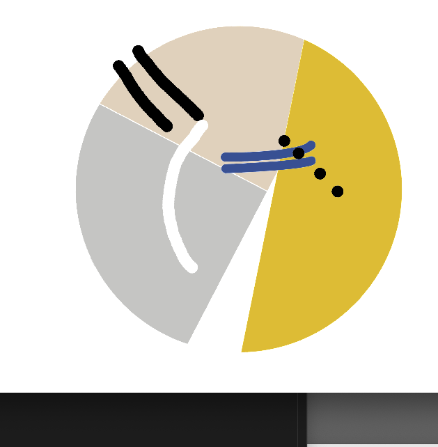 p5.js BlazeFace/ 2D Mirror exploration